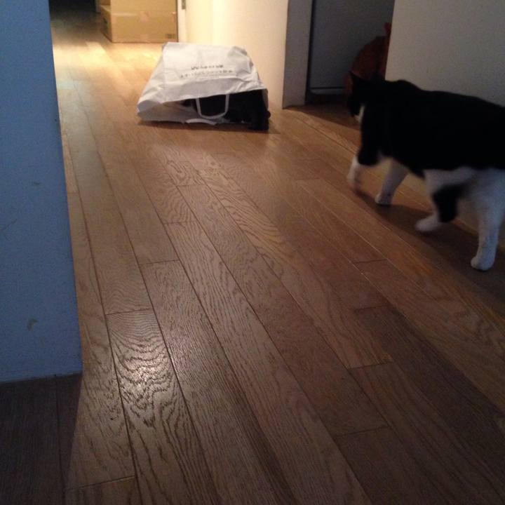 9be5d927 0b43 4ffd 8927 15b8cd1c2e76