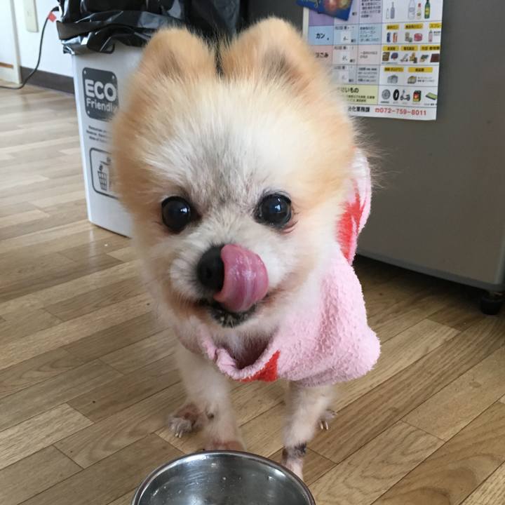 9be5e17e 5d84 4287 98f4 7245be310c0b