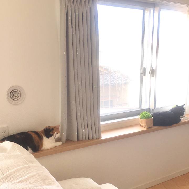 9be66bad b8f2 45ca 973c b5f006f89752