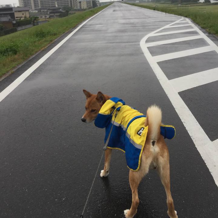 9be848d3 48d6 4559 b1f6 367e50d2aa5d