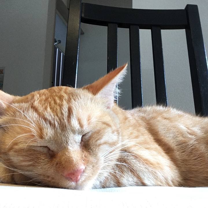 9be871d1 6af8 4ac5 99f9 4d31c8a8d732