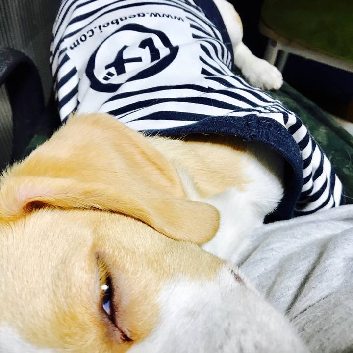 9be89f82 fc33 4144 8472 b2c5ab8a6ec3