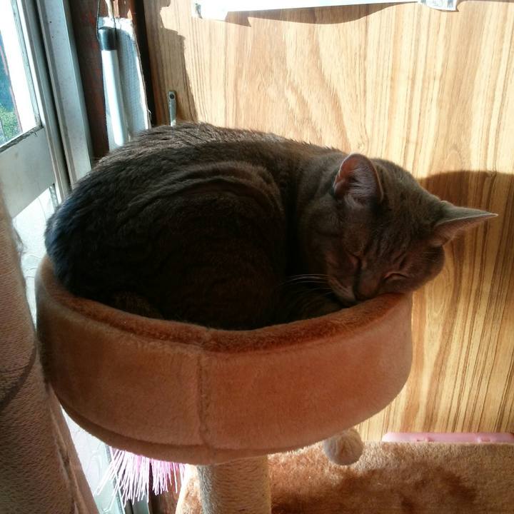 9be8ac15 52c8 412c a5ce b774b7abf09a