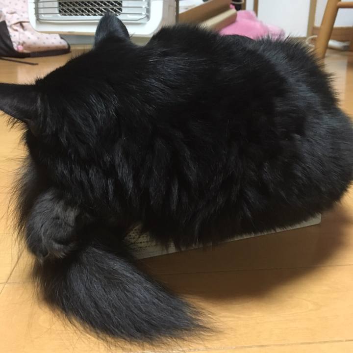 9be8f018 0e3a 4db4 9452 69246b5d1da0