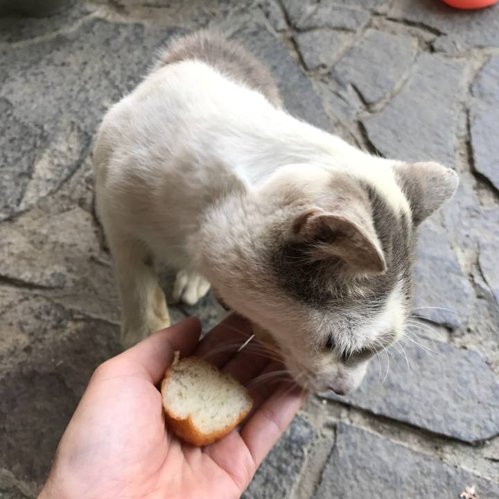 9be96334 31b9 4547 bddc 3c1c842a1a35