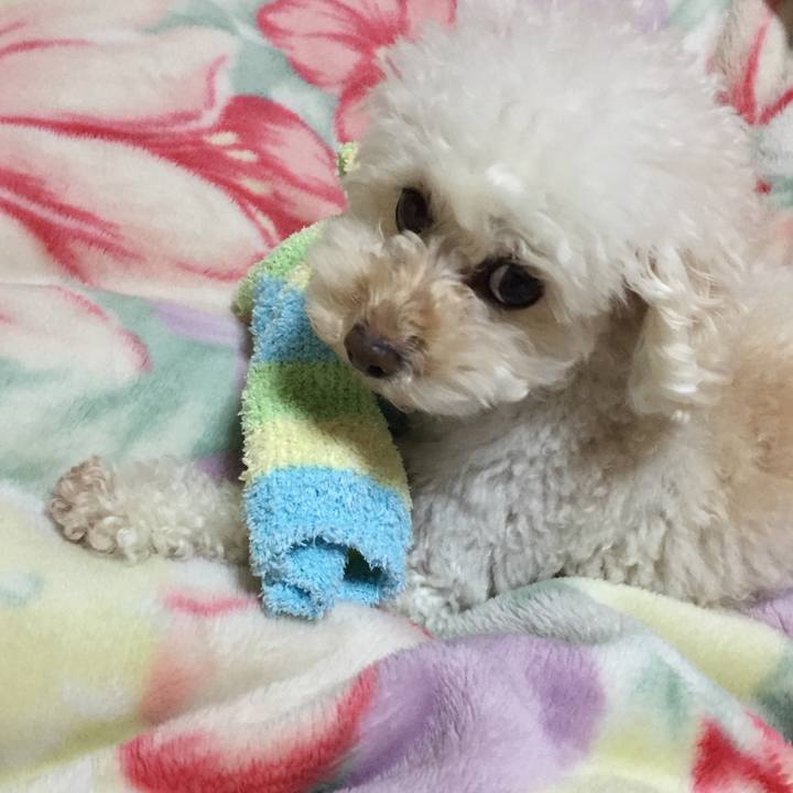 9bea0f78 05f3 4b4e 833f 3194fb87a24a