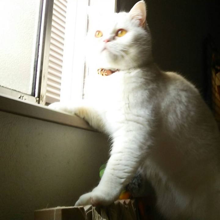 9beaa7bd 7ccd 415b be0b bd409b61a030