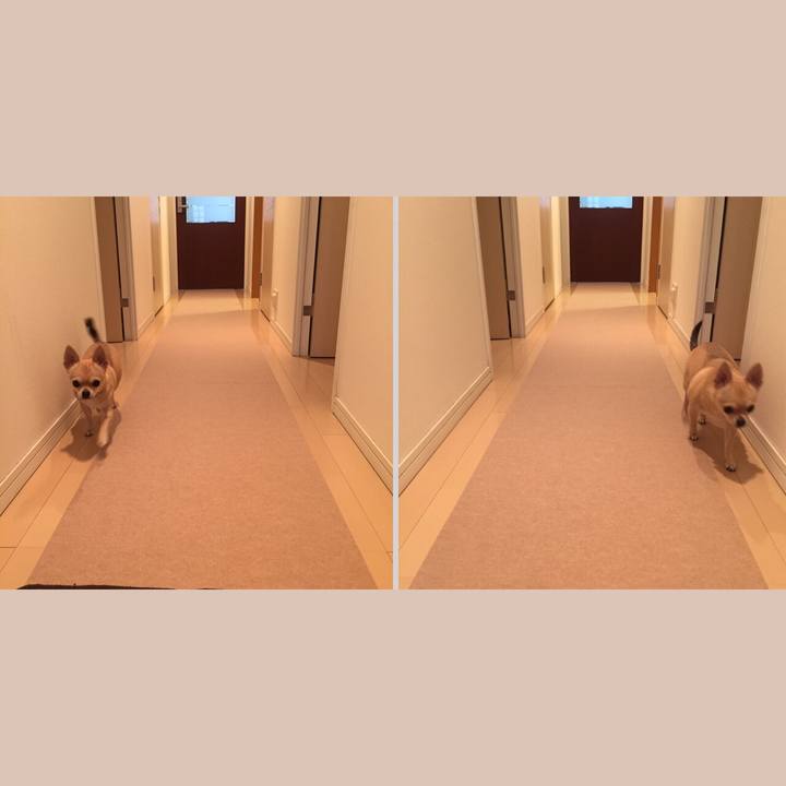 9beadeb1 b86e 49e4 8844 6017570b3046