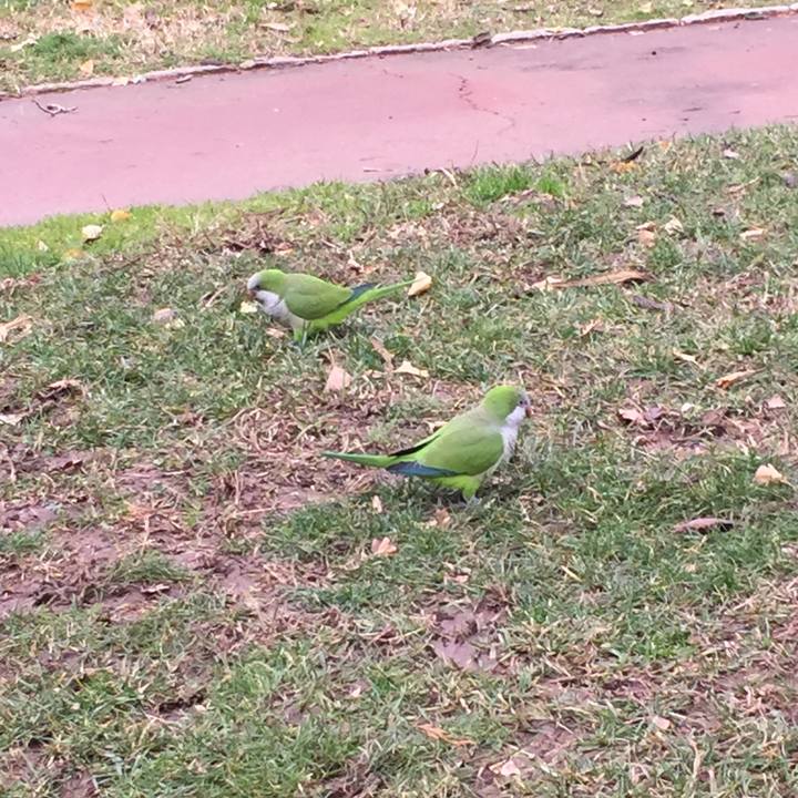 9bebb94f c739 43e3 9a2b 1b2758fad5d7