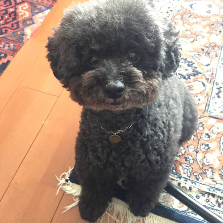 9bebdce3 78d6 453d ac8e ca2e7f48d88d