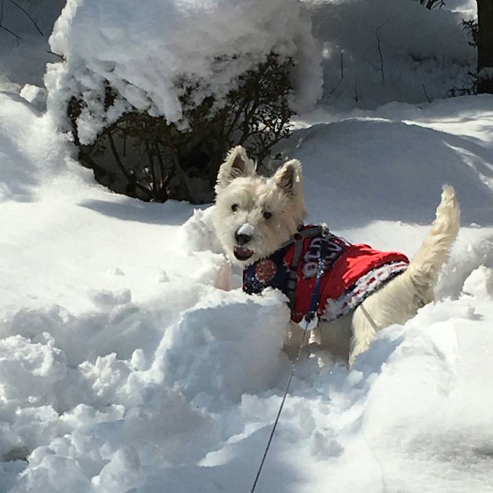 9bec257a 2ed8 46f1 93f6 aaa1deba635d