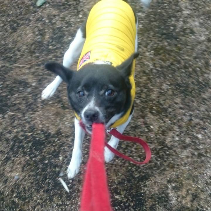 9bec9dea 0c7b 4bd3 a32b ba9348d50ca8