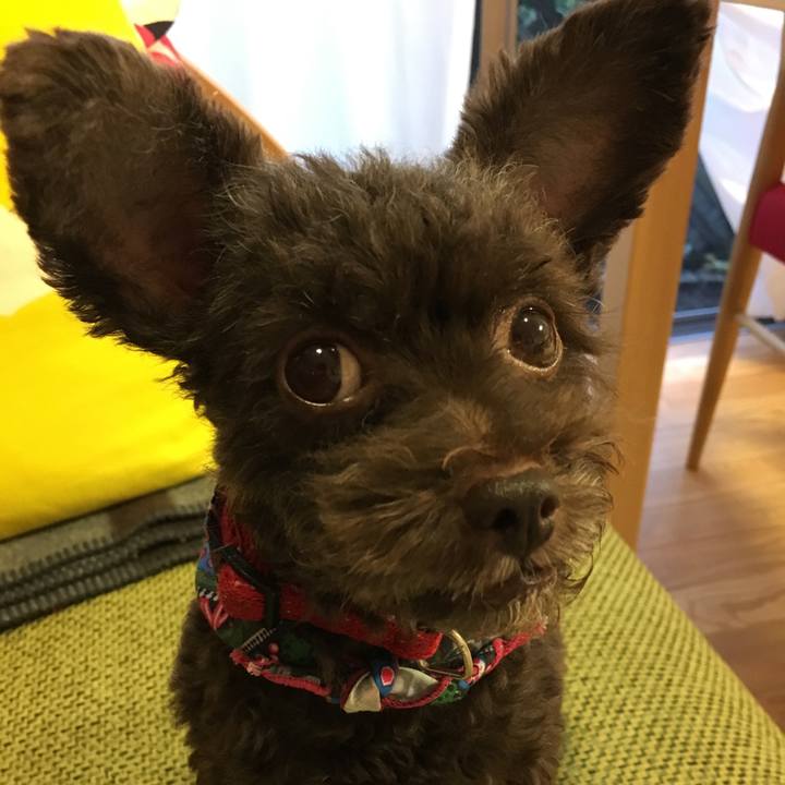 9beca508 8eef 4523 8dde 93374ad6933a