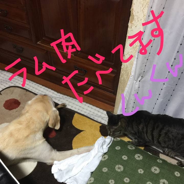 9bed0125 6781 4eed 851e 58eefd08e8e0