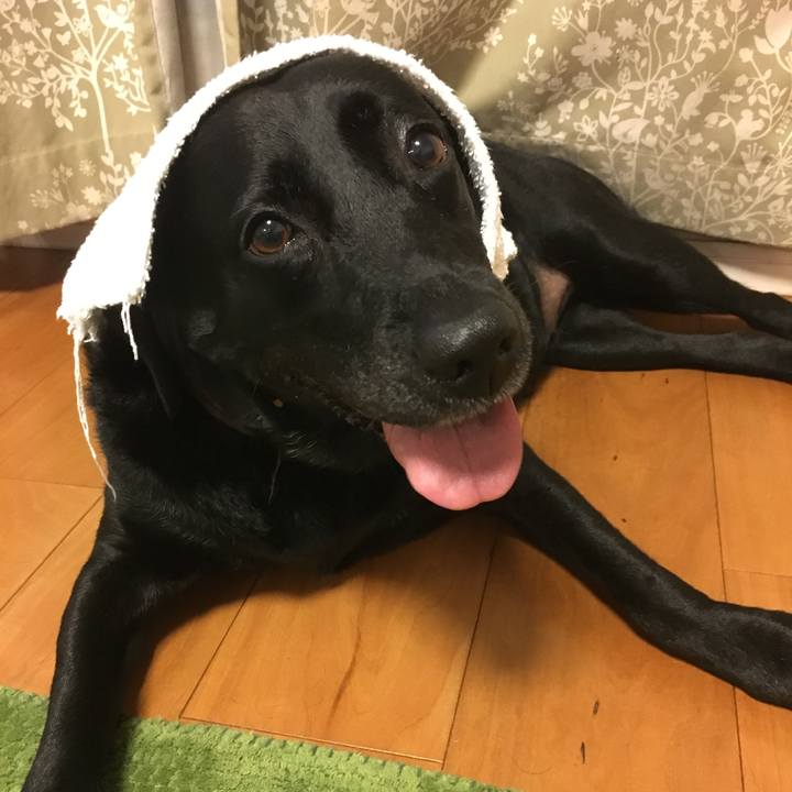 9bed1d94 da5c 471f 9065 4547514d85a4