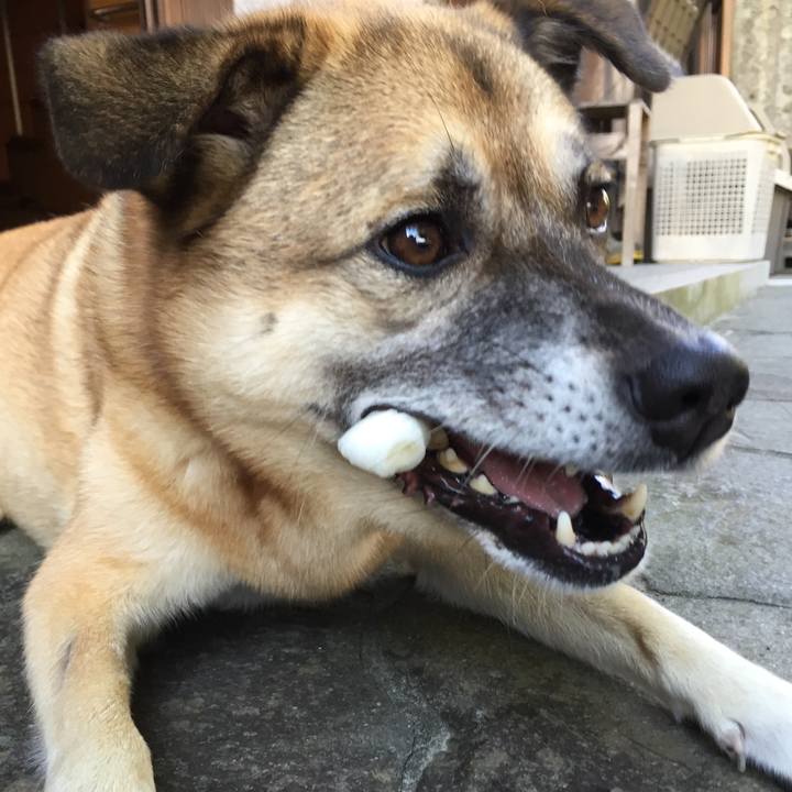 9bed563e 028e 4e6b bacc 799f9663680a