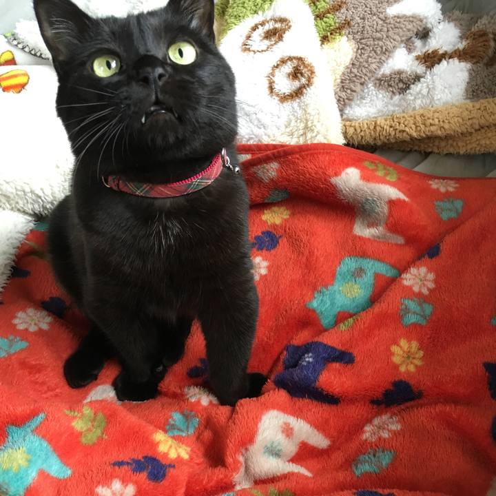 9bee6a2e 8fcd 4842 9975 4993f872f481