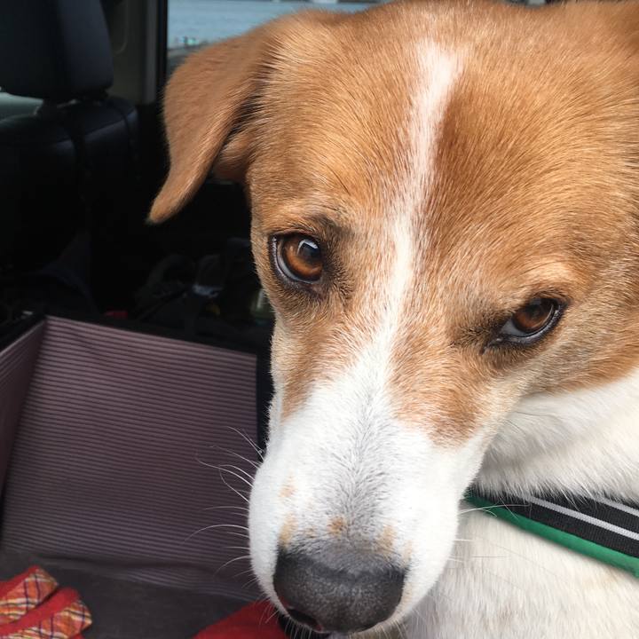 9beee837 ab27 41ba a5c2 bbafa29481d8