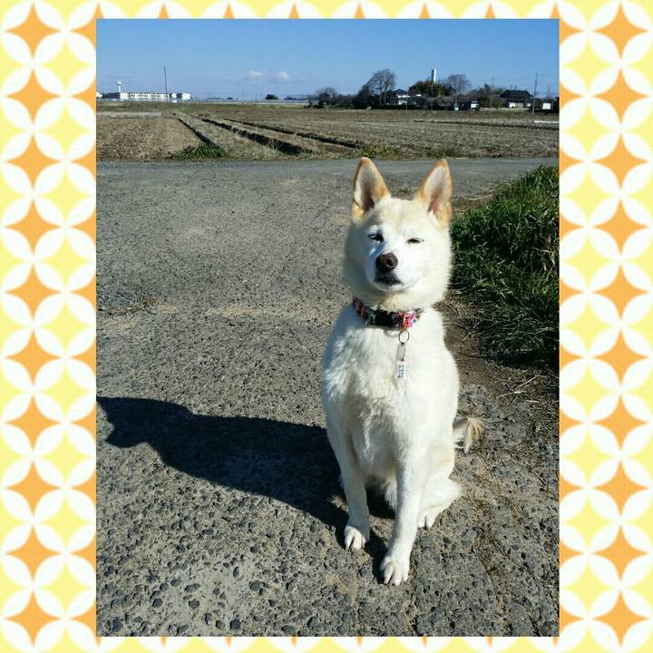 9befc4f5 4aac 460f 8cfc fd3866d1a1f2