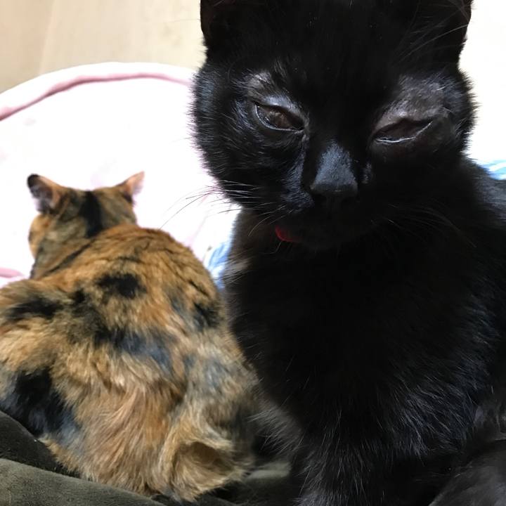 9bf0217c a771 490a bbdb ff617243f621