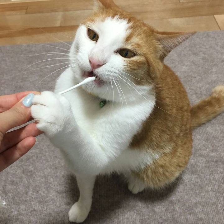 9bf09635 331b 4d7e 8287 d4e21d9a5265