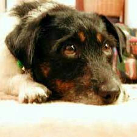 9bf0a3a5 9c20 4d8f 9de1 779ab9d8212a