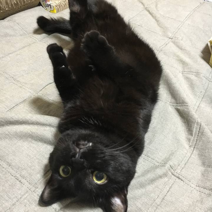 9bf0c137 e861 44f5 86b1 98b4ef1c8cde