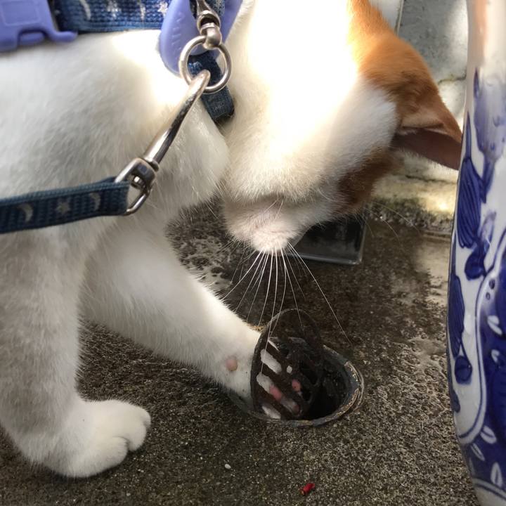 9bf0c991 b49b 4575 8af3 f01c47abb551