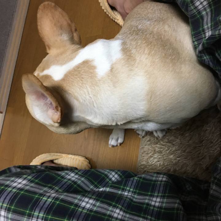 9bf107a4 2713 476b 8a6a fa57bf5b5df5