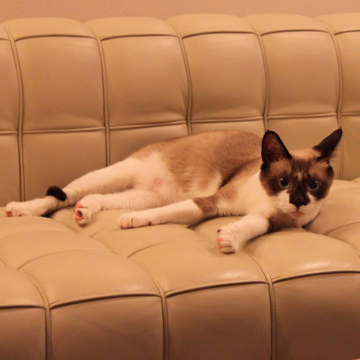 9bf11cb2 da6c 45b1 8fff f5c7fe0aad58