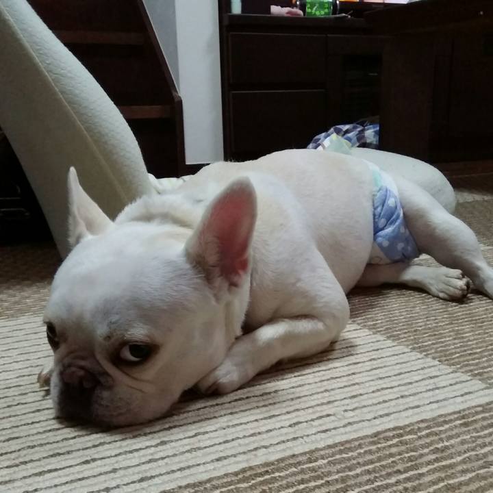 9bf1874f c695 4849 b5ce 3741d67bfaa0