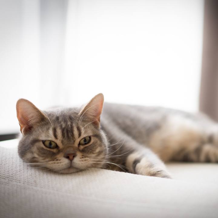 9bf1f294 a2fc 4630 9dd5 0d41bc4efce0