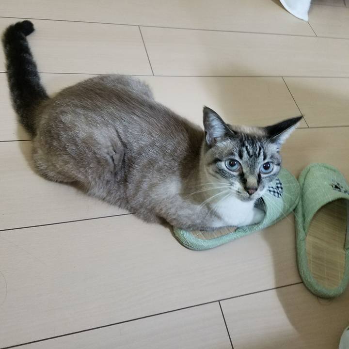 9bf363f4 cadd 42b5 a339 b313d0c542bd