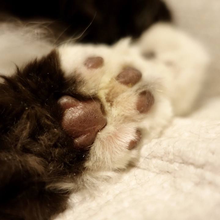 9bf39c5e 8e2d 4fb0 bdcf 87f8941f0e46