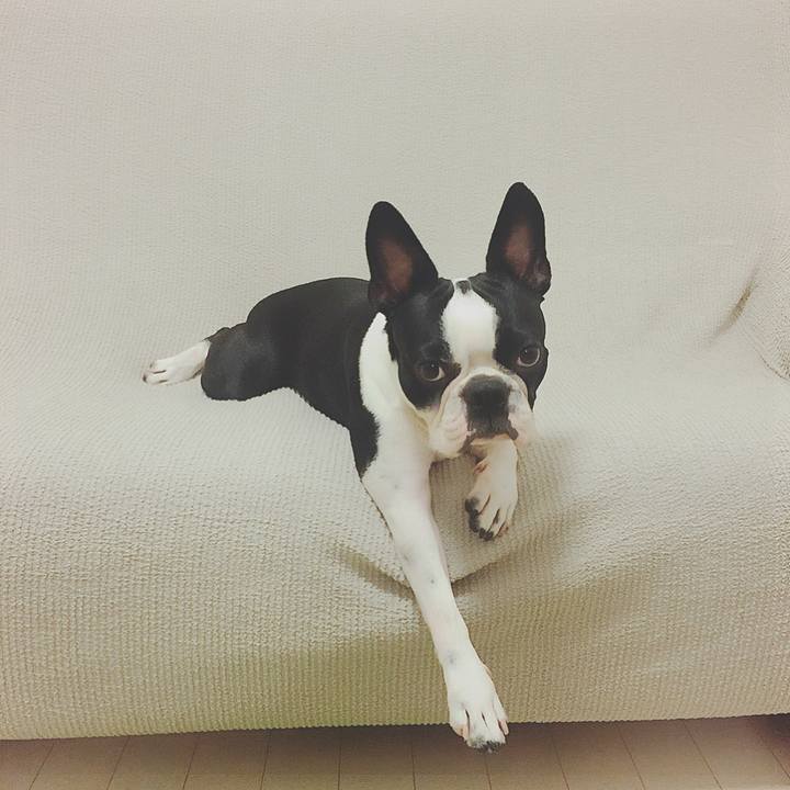 9bf40cca f900 466e bc69 96c3c12f7ad4