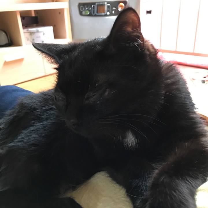 9bf47ba5 d675 4da9 90cd f0c06b160b86