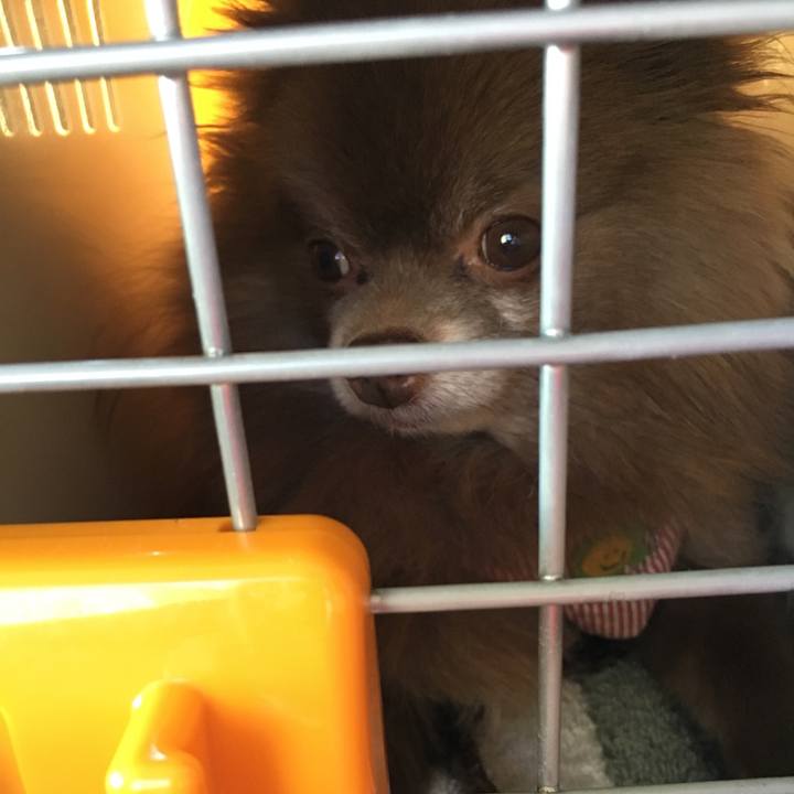 9bf52588 d342 4bd2 ae50 0d65f44d073f