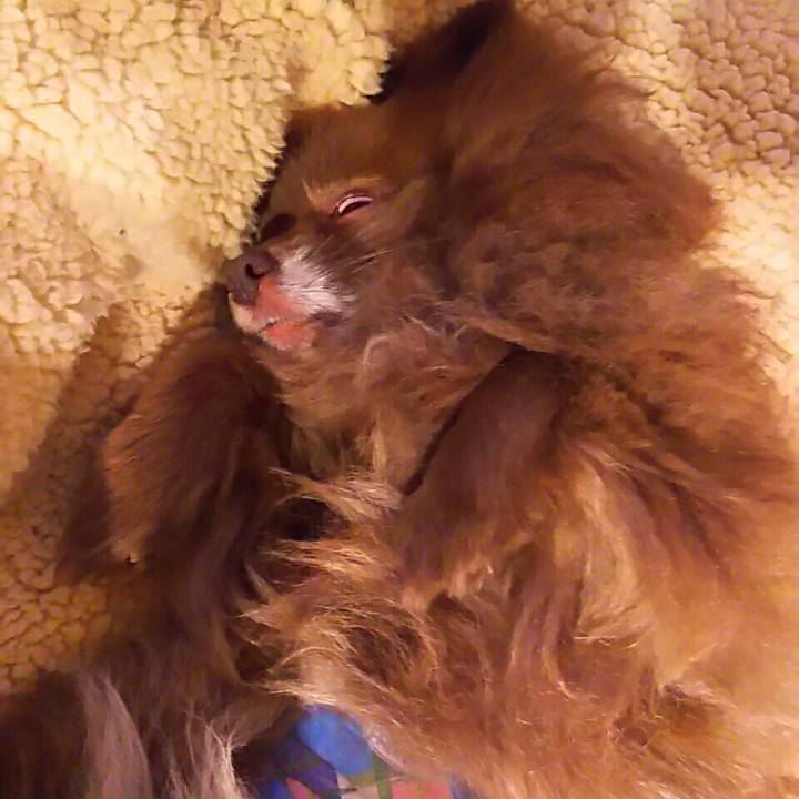 9bf564a9 ebe6 4484 abbd f2ed84883420