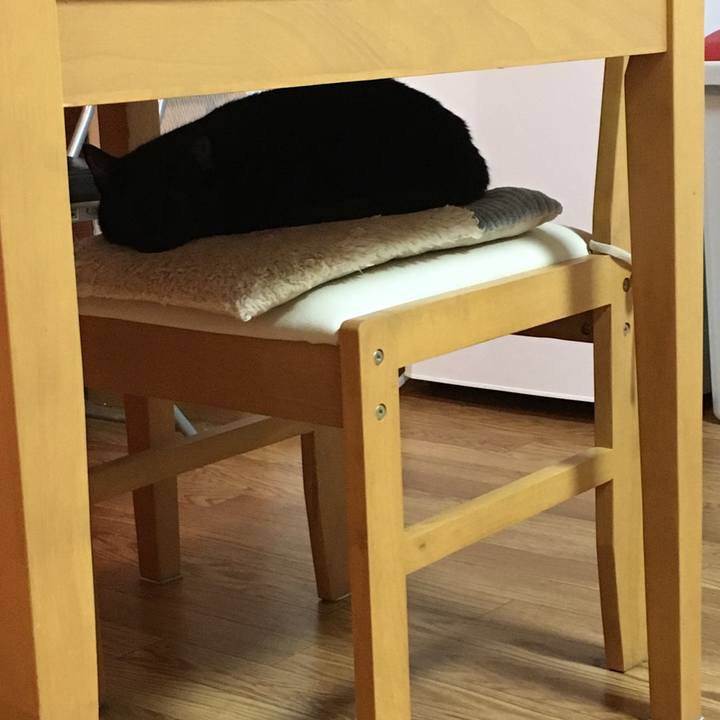 9bf56a62 12a8 4371 802d 2987f1cdf566