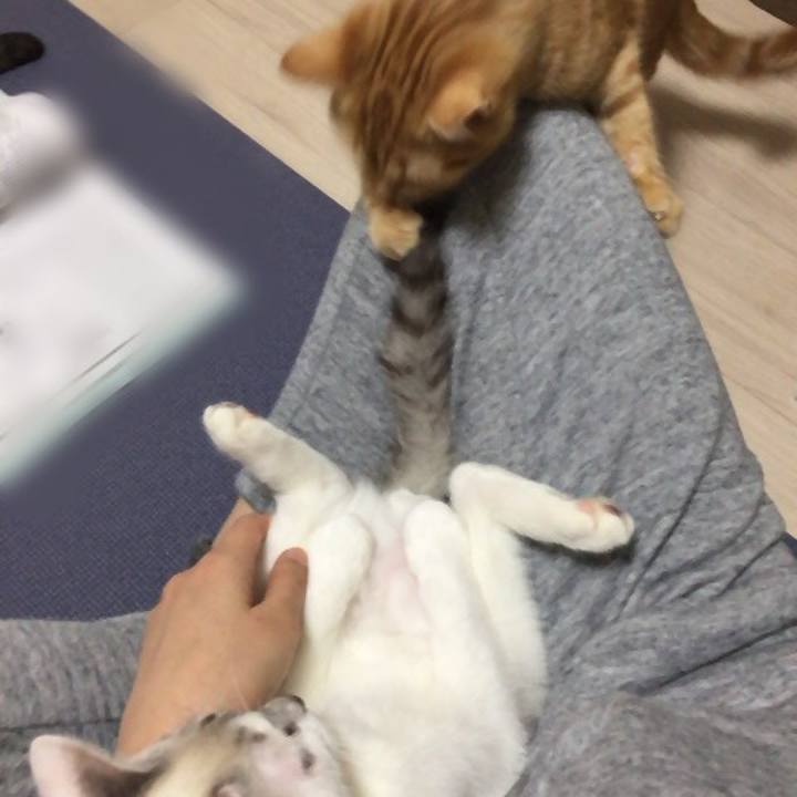 9bf6dd28 0195 42ac a491 ab77669e91ed