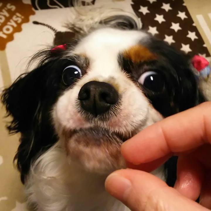 9bf6eb56 5976 4b5c b221 bfe75c6feb5e