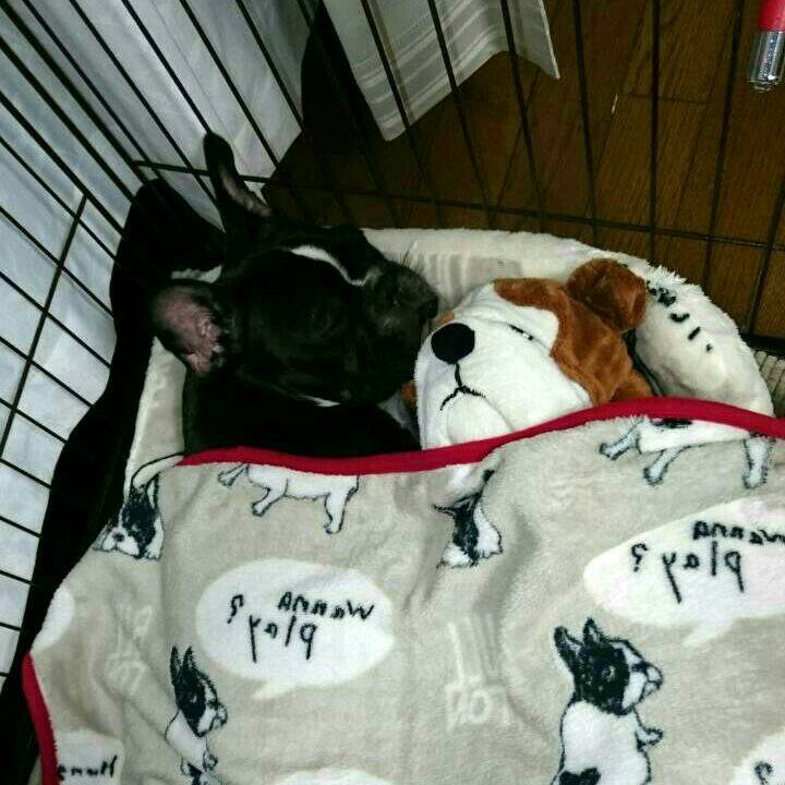 9bf6f740 19a7 42ec 8428 3334dc60cd98