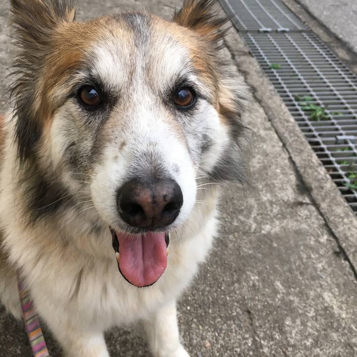 9bf78091 3250 4a77 b32b c3b78ea3c12b