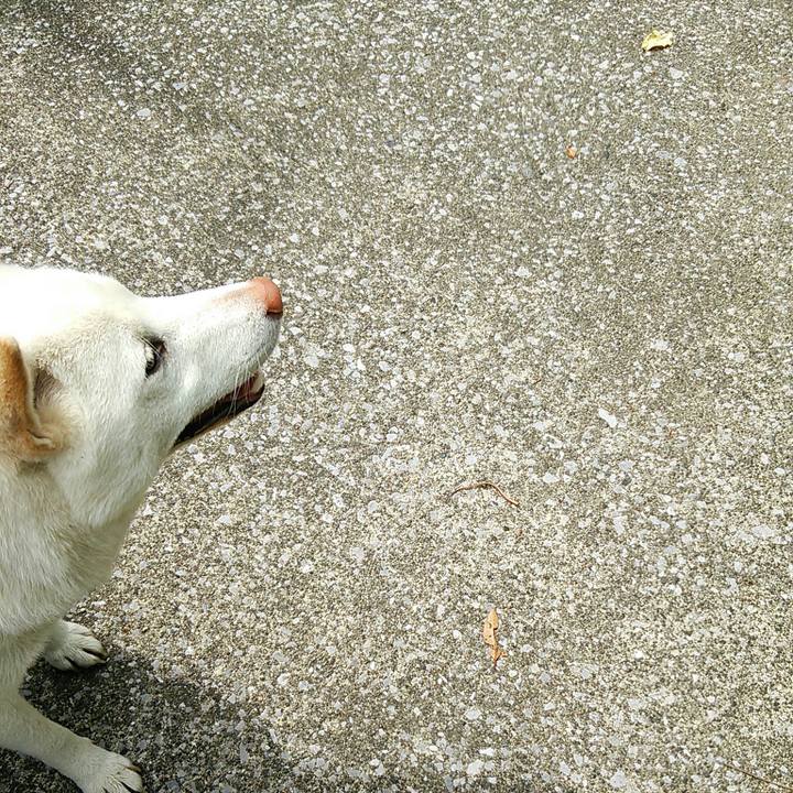 9bf7c3c4 9578 40d7 bd5b b79cde972fa3