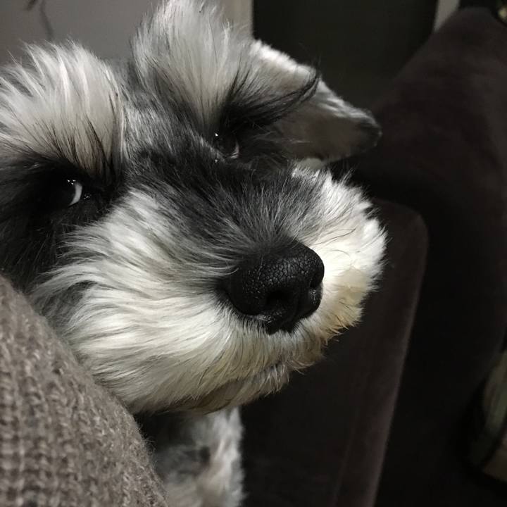 9bf7d30f 9b49 4825 879a d6c9b1d729e1