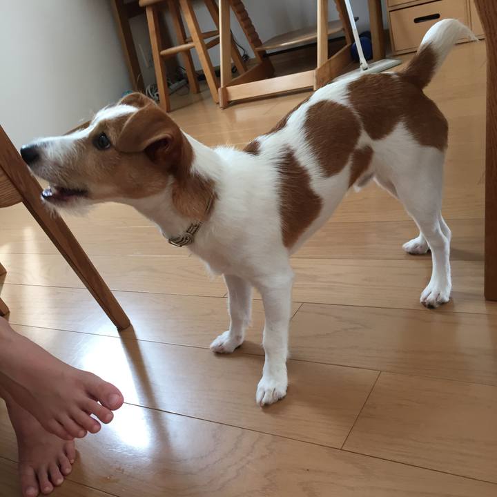 9bf7ef38 2937 4c42 97eb 45e6b9908679