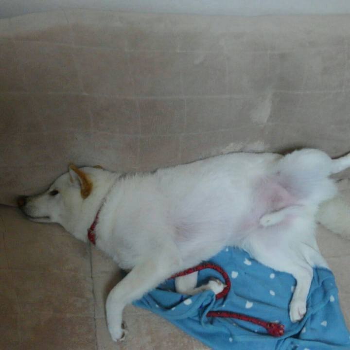 9bf9138f 6719 4d06 8fd9 3e8e9a6742de