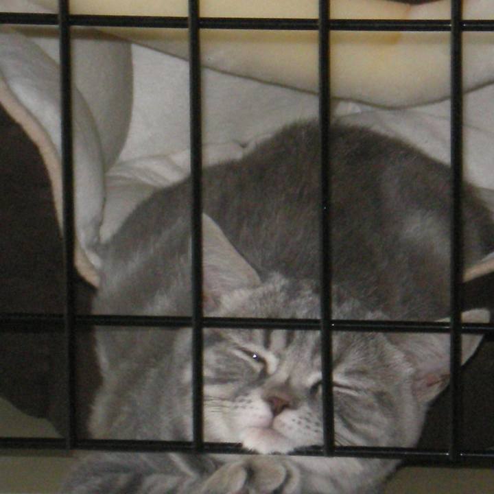 9bf9d557 0780 468e 9d3a 3c75fe0b644c