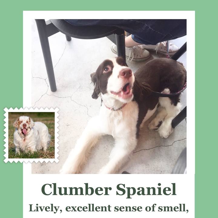 9bfadea4 f37b 4967 a42c abf8701028dd