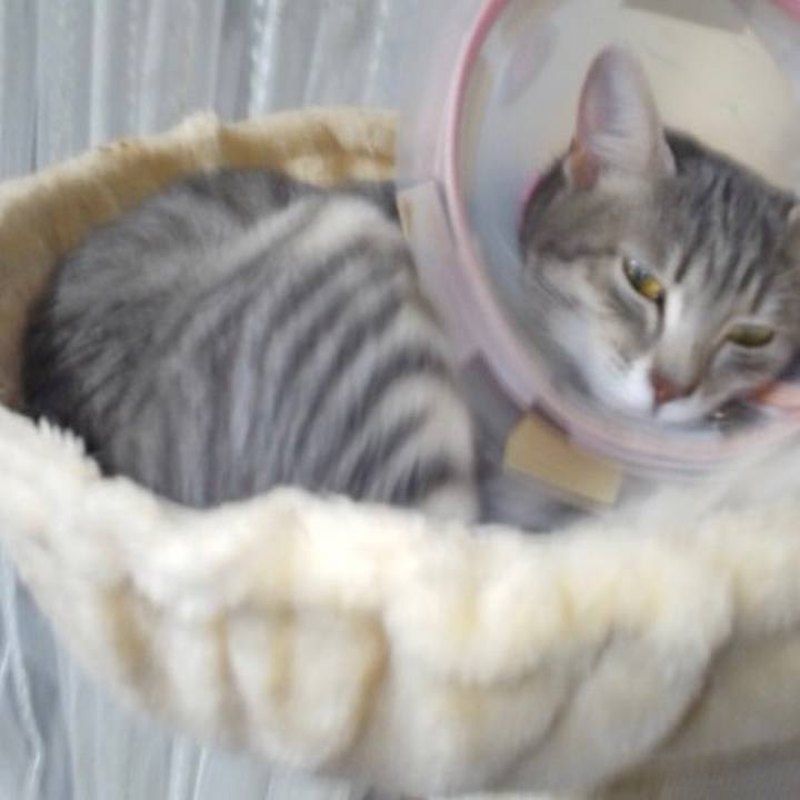 9bfae60d ffd3 4f23 981c a1a943699478